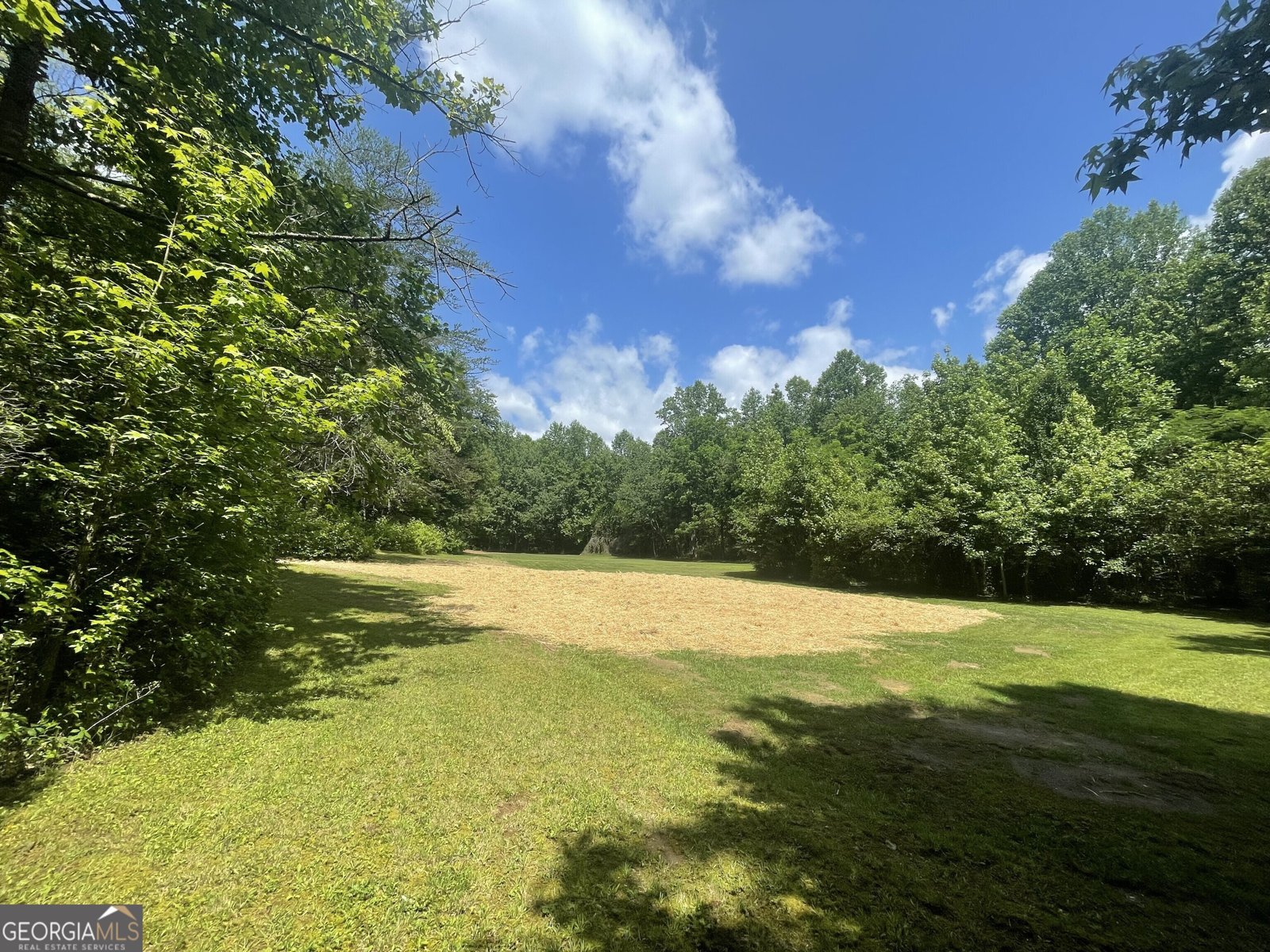 424 Harkins Road Cleveland - 38