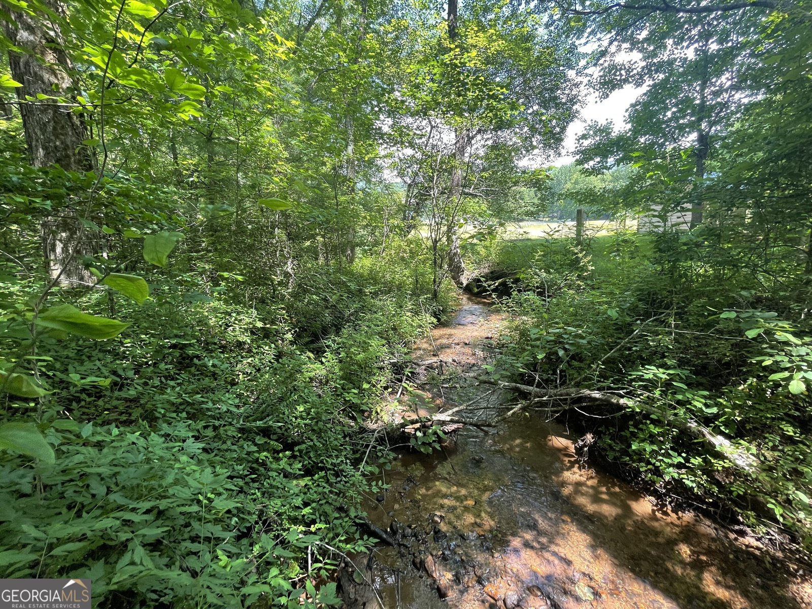 424 Harkins Road Cleveland - 48