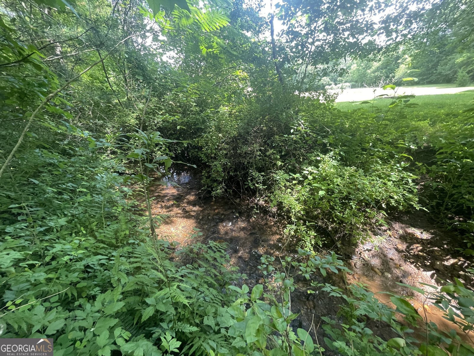 424 Harkins Road Cleveland - 6