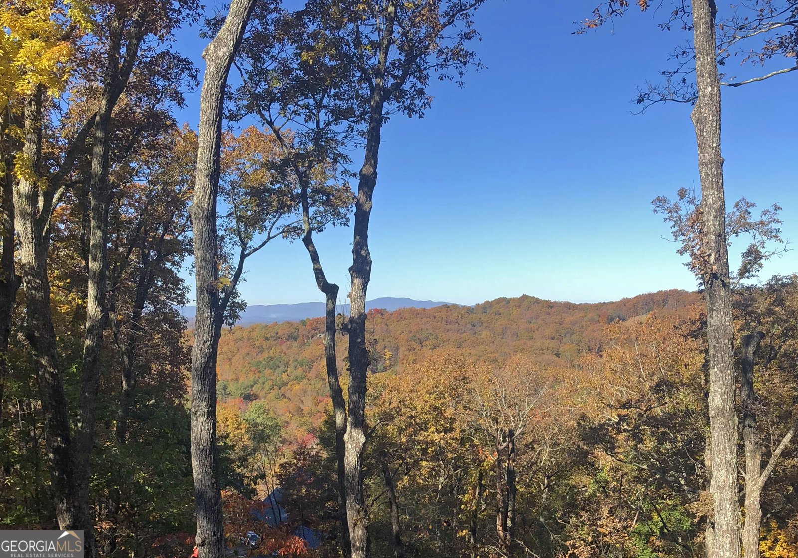 97 Deer Ridge Morganton - 64