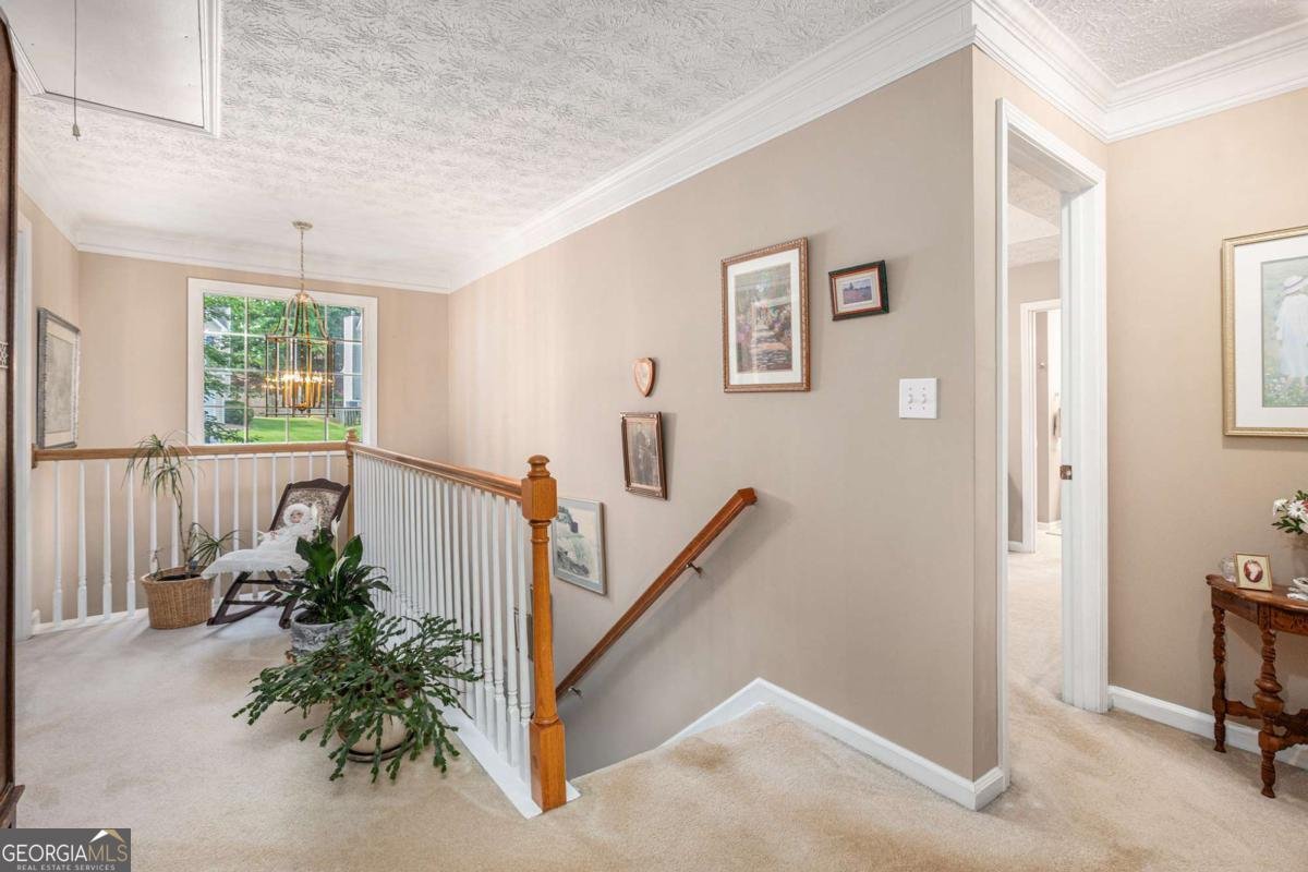1625 Rushing River Way Suwanee - 22