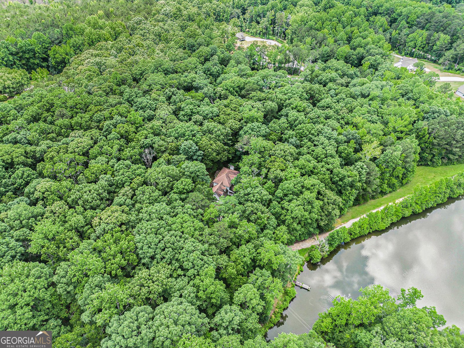1722 Luther Bailey Road Senoia - 24