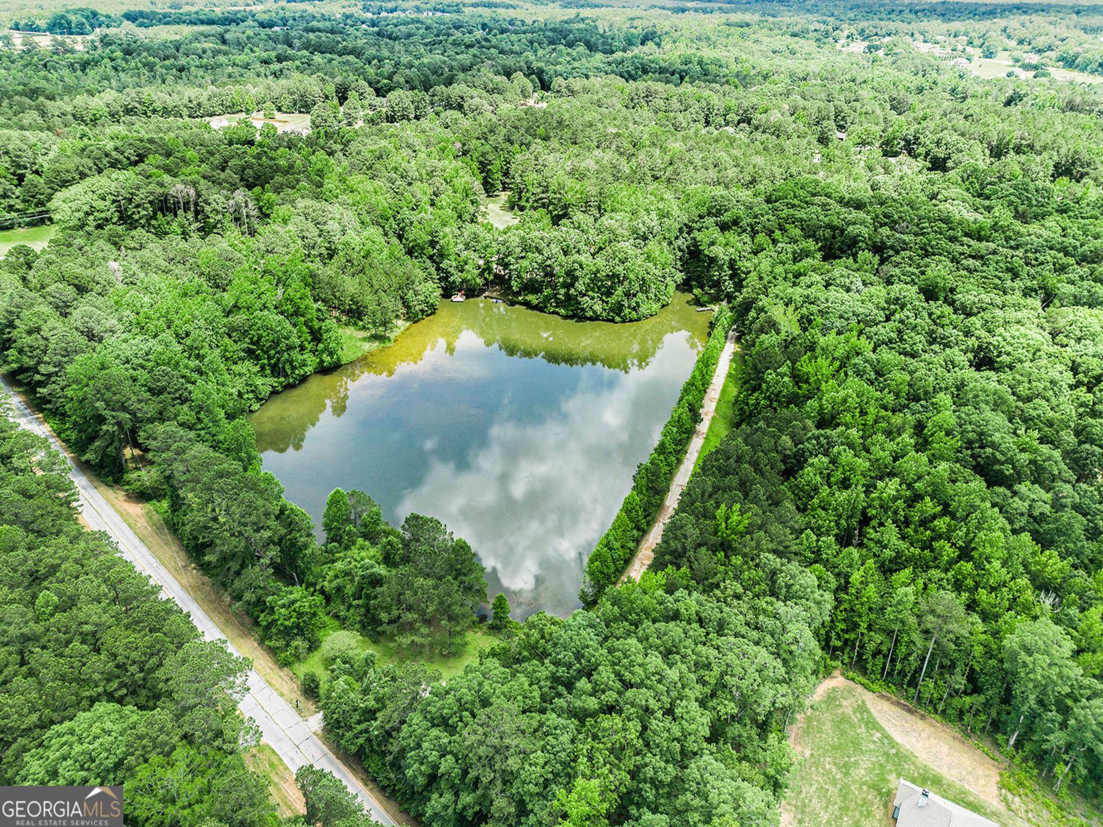 1722 Luther Bailey Road Senoia - 27