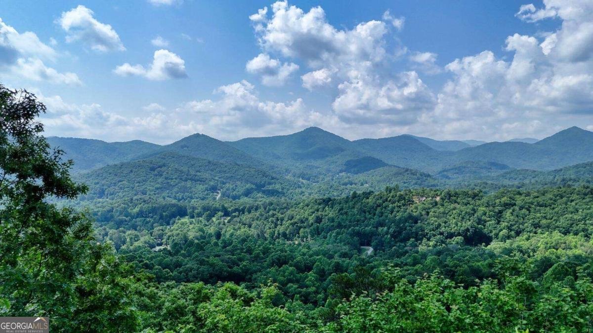 1795 Ivy Mountain Road Hiawassee - 3