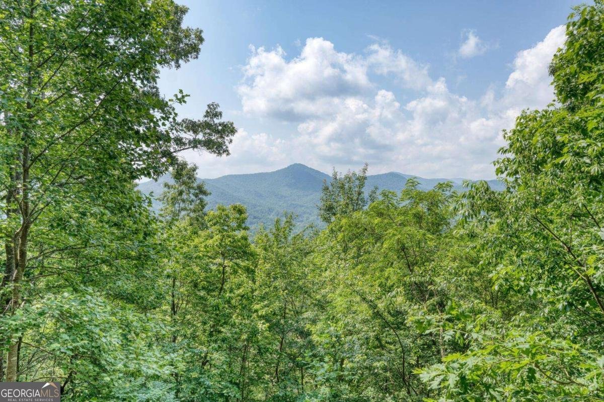 1795 Ivy Mountain Road Hiawassee - 48