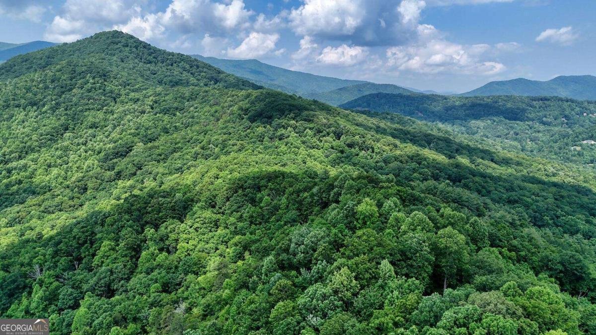 1795 Ivy Mountain Road Hiawassee - 51