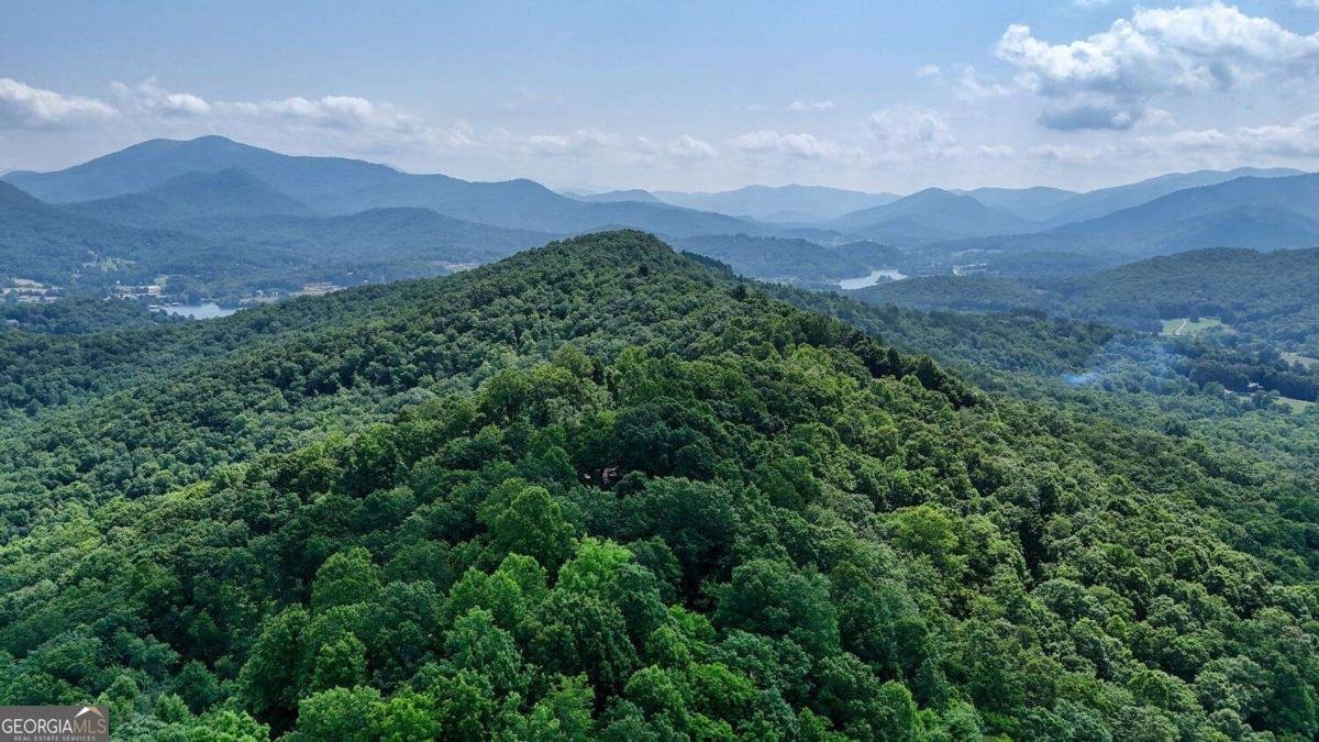 1795 Ivy Mountain Road Hiawassee - 53