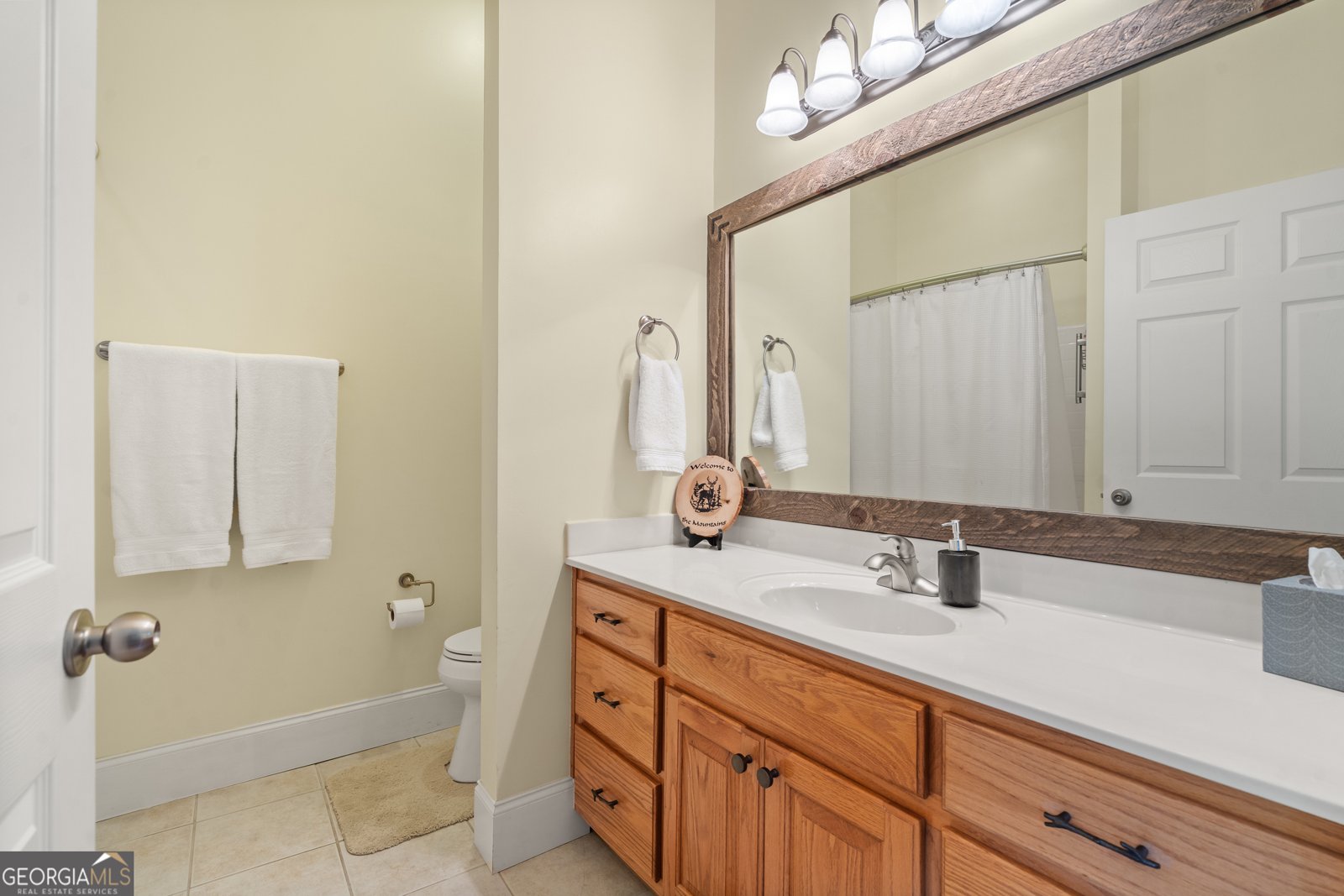 1724 Watercrest Way Young Harris - 1