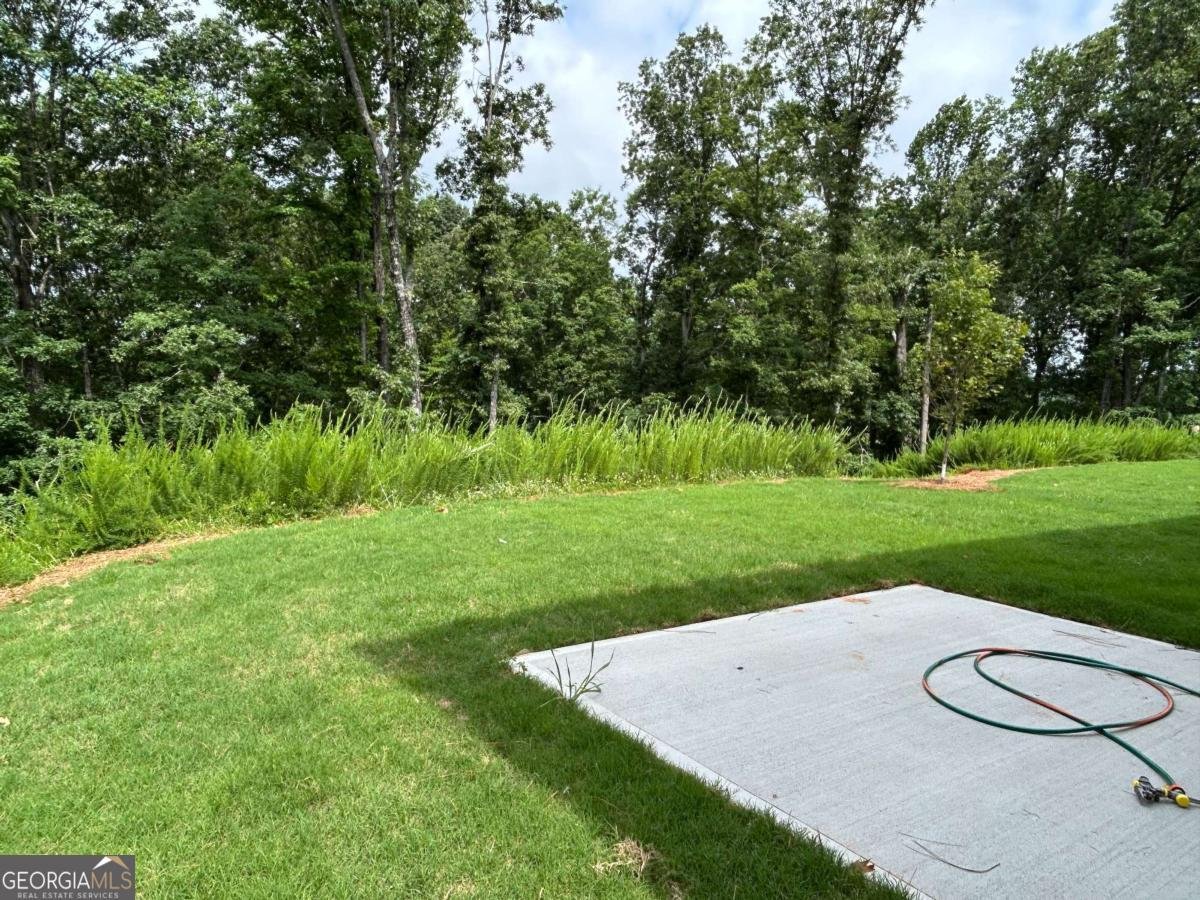 5324 Carodel Farm Way Flowery Branch - 2