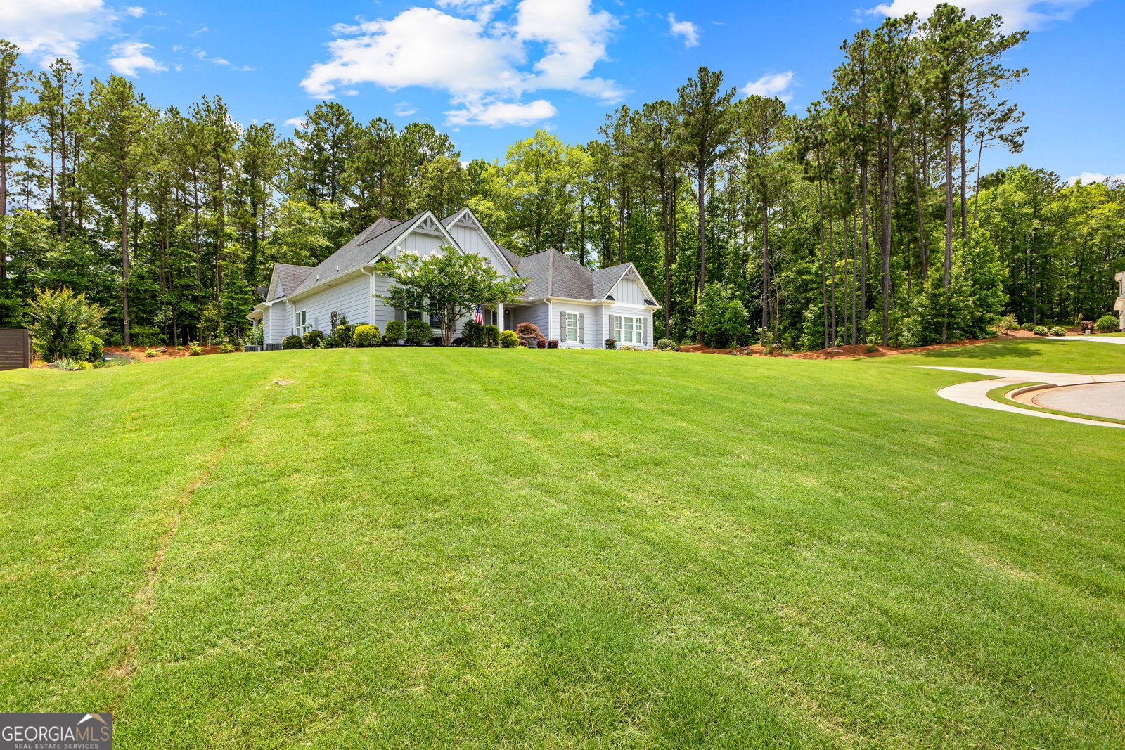80 Streamside Drive Senoia - 4