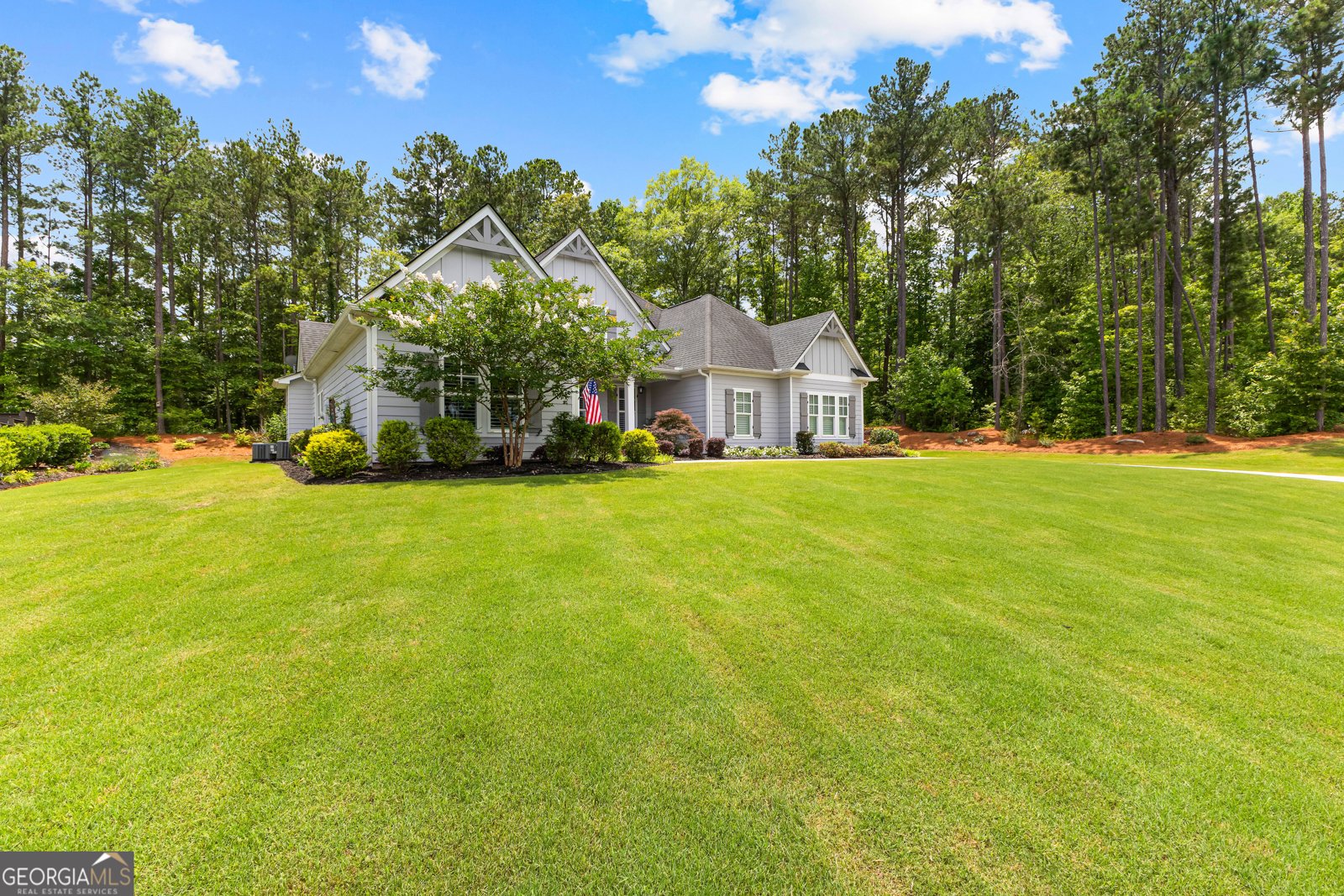 80 Streamside Drive Senoia - 6