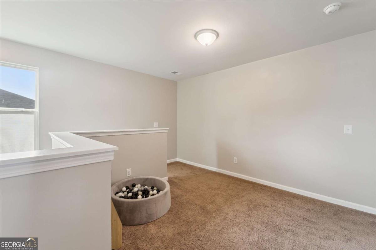 1156 Wilkins Road Hinesville - 22