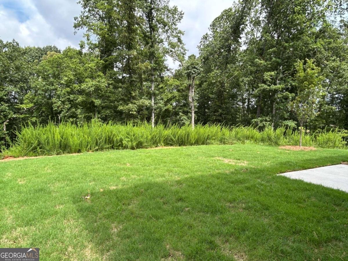 5230 Carodel Way Flowery Branch - 27