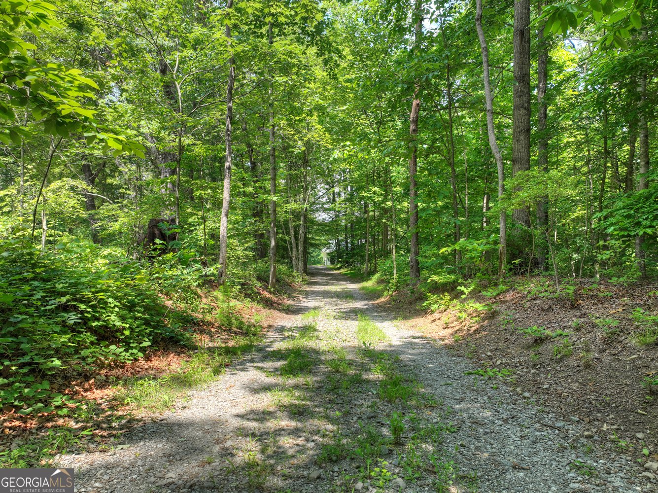 1398 Antioch Church Road Talking Rock - 57