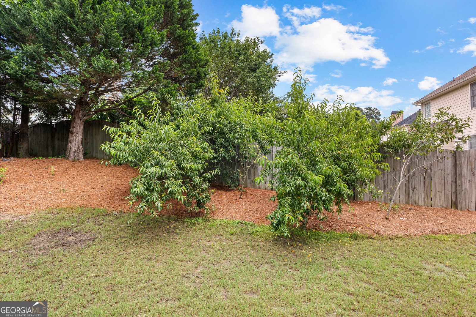 1602 Cascade Overlook Peachtree City - 54