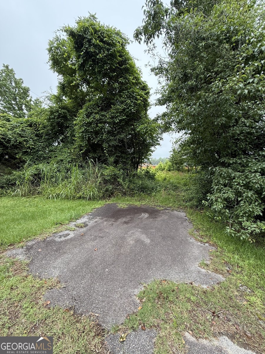 165 Jefferson Avenue Hoschton - Photo 9