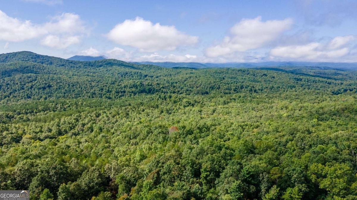 192 Oak Ridge Way Morganton - 11