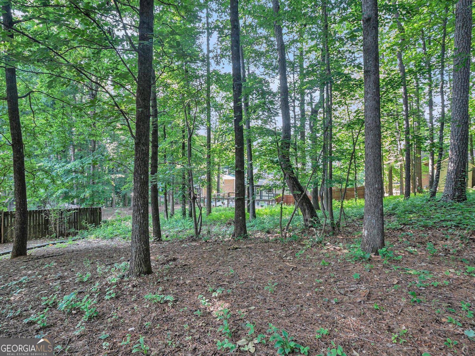 2063 Willow Chase Court Tucker - 33