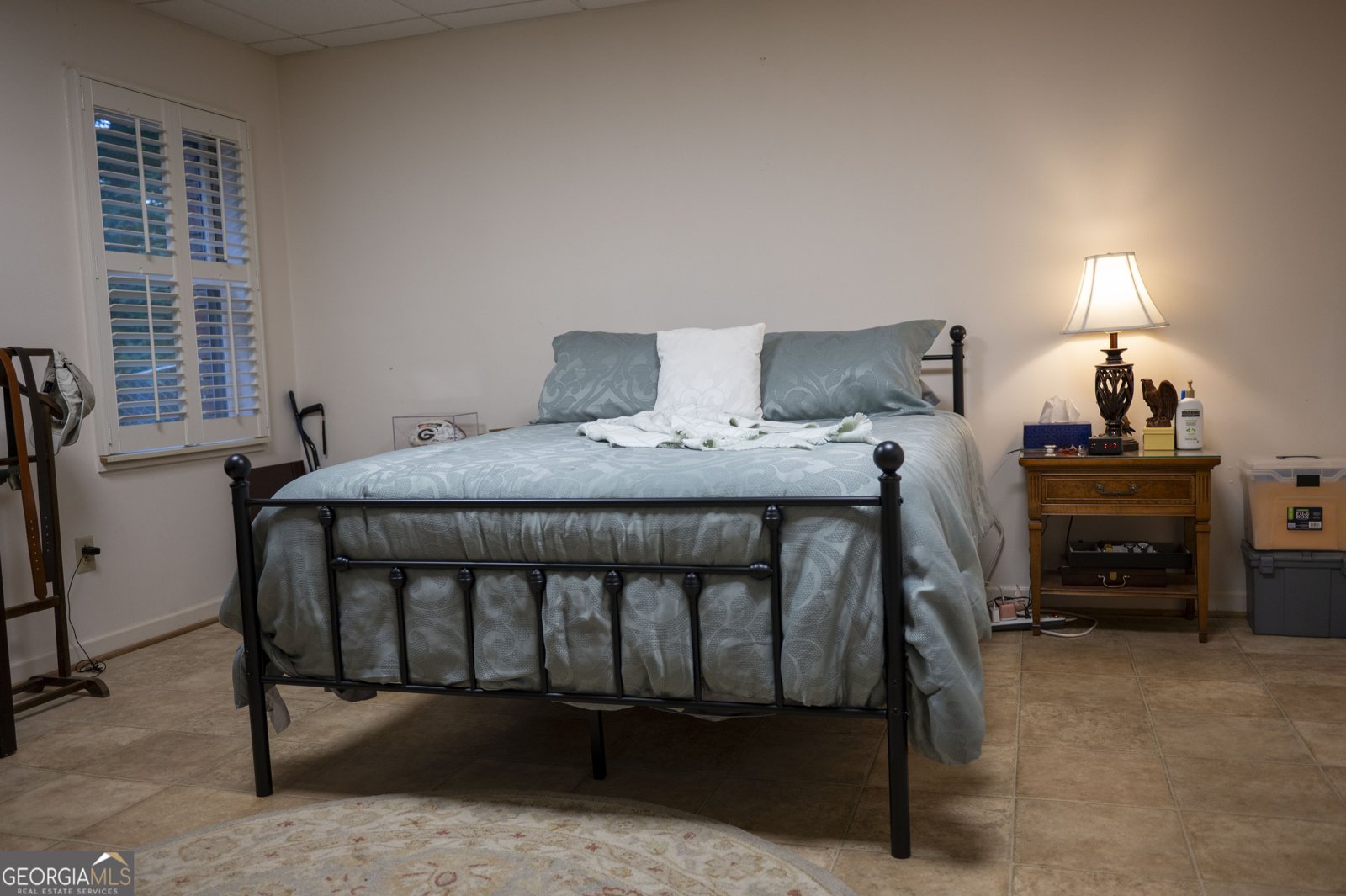 323 McCartan Trail Clarkesville - 45