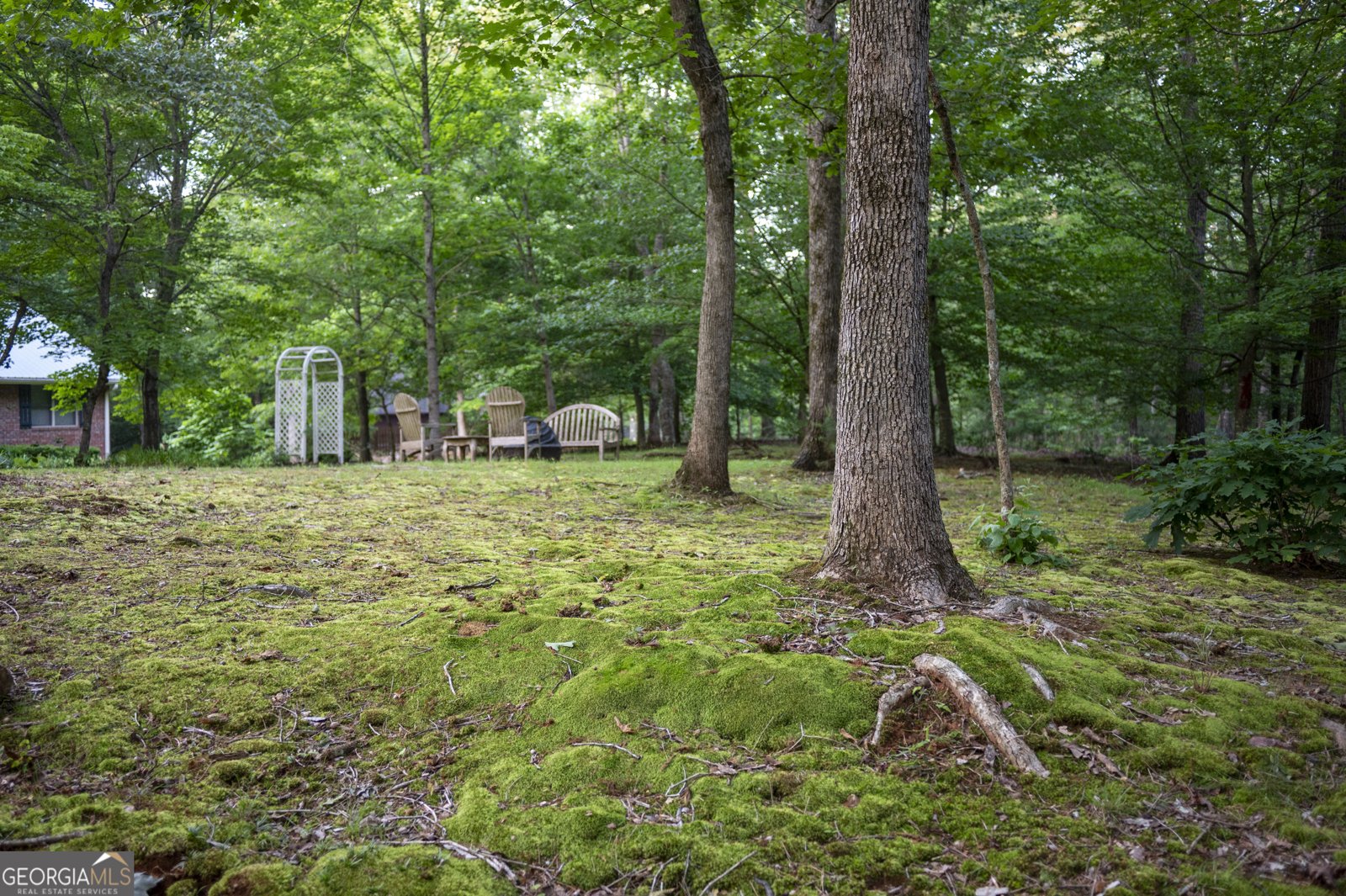 323 McCartan Trail Clarkesville - 70