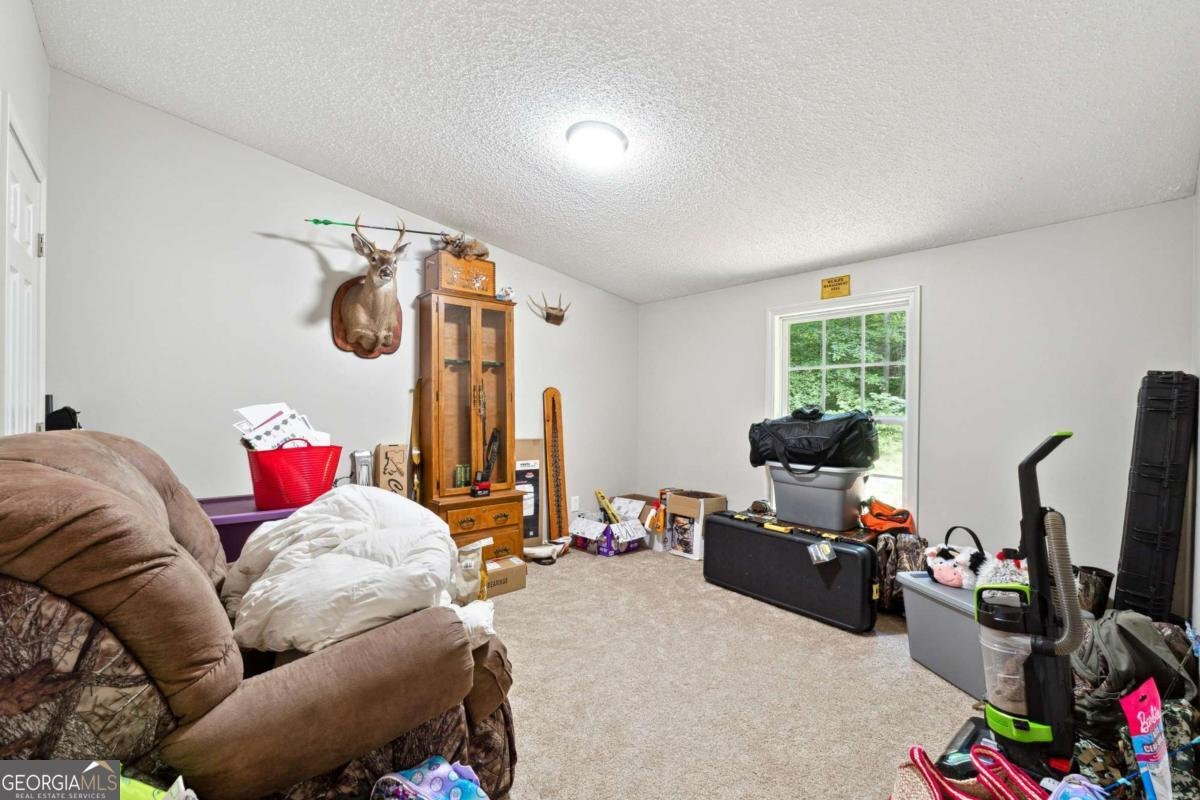 187 Angers Court Dahlonega - 15