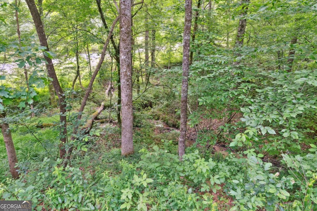 187 Angers Court Dahlonega - 24