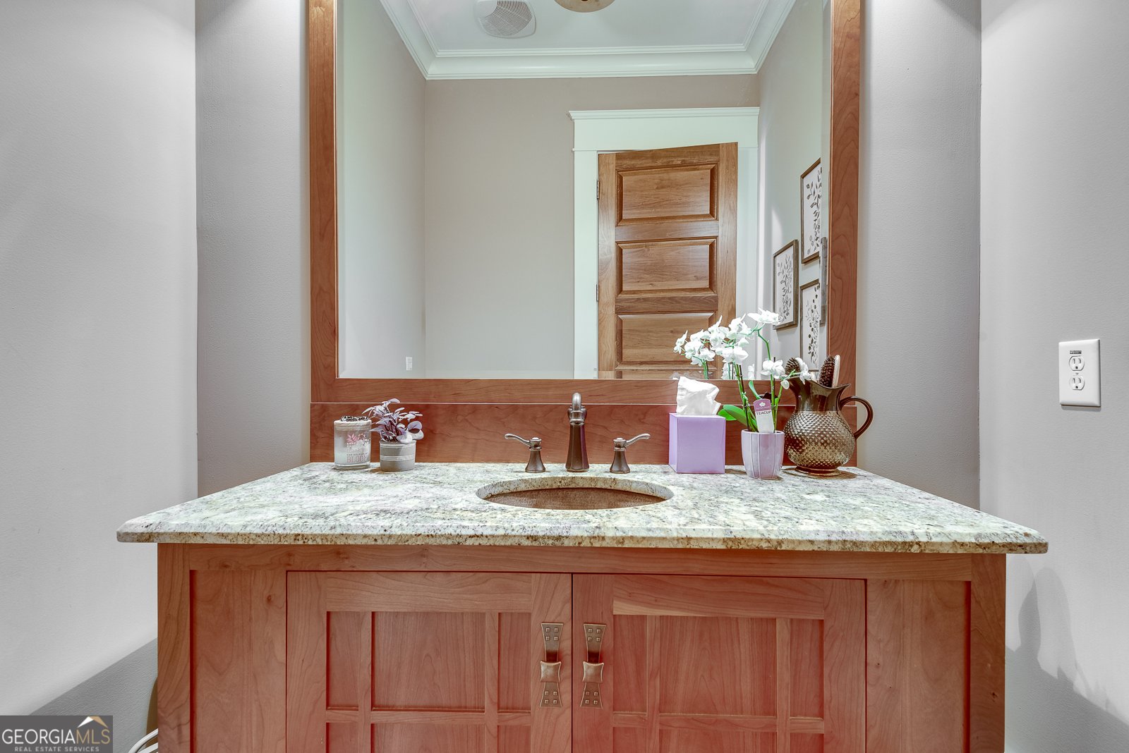 114 Trinity Hollow Drive Canton - 48