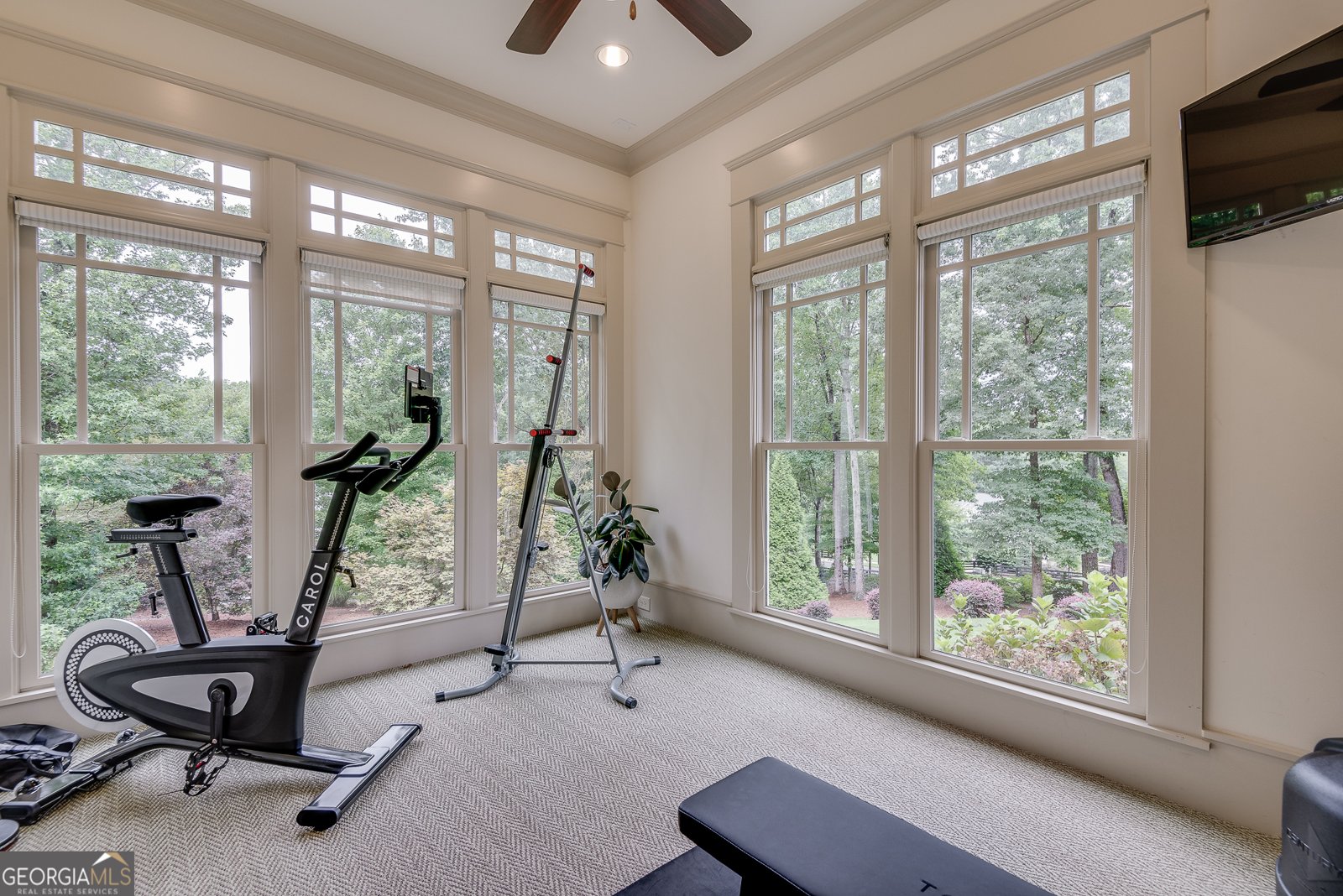 114 Trinity Hollow Drive Canton - 66