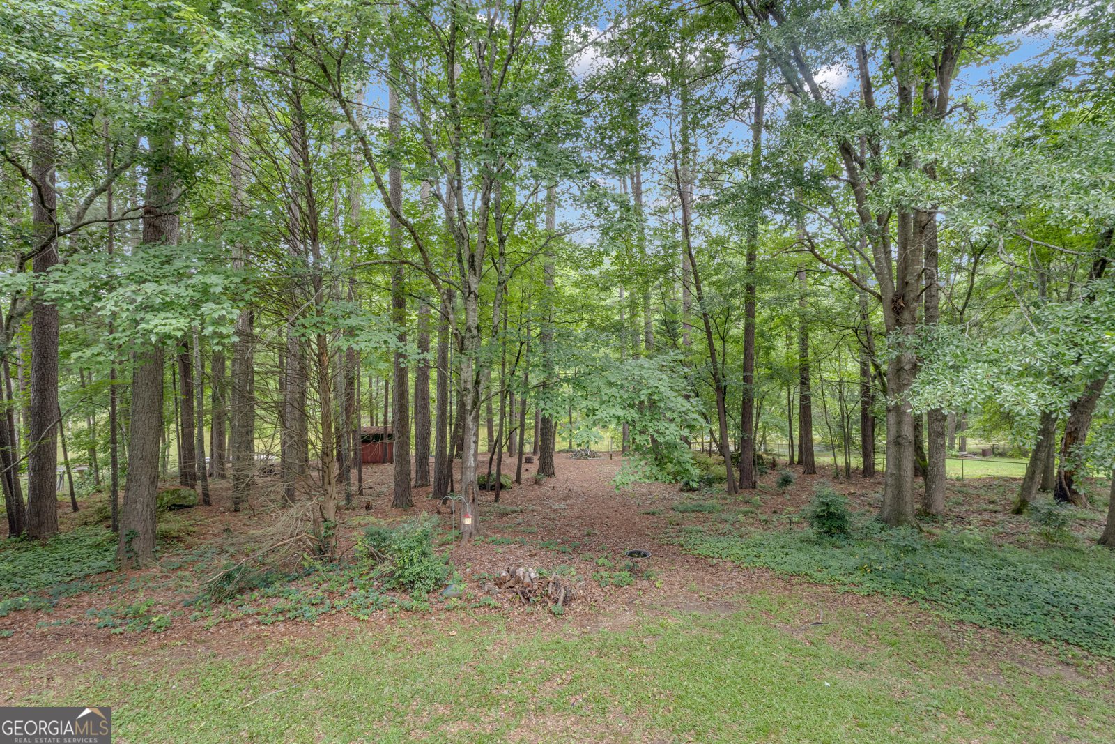 190 Willow Lake Lane Sharpsburg - 27