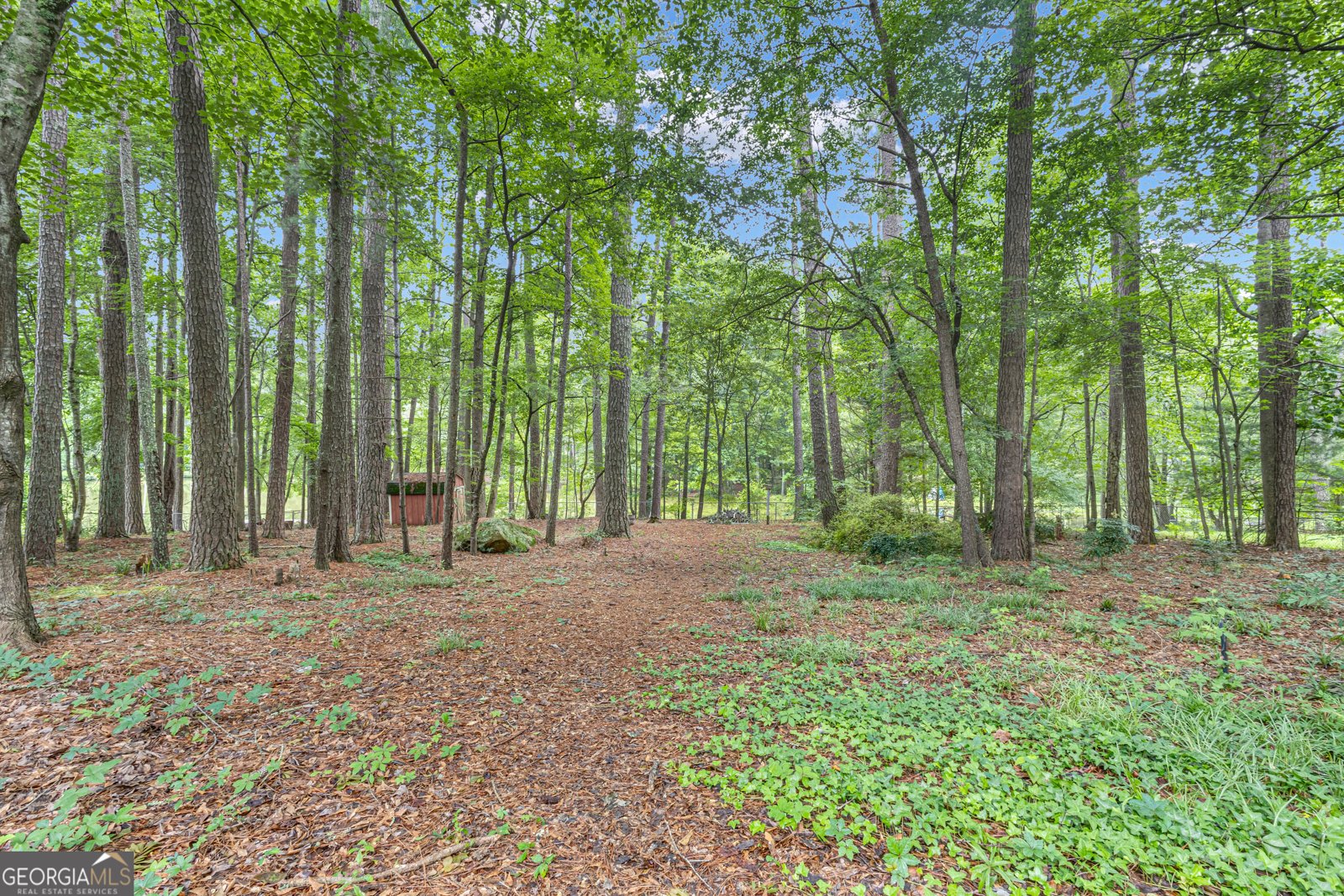 190 Willow Lake Lane Sharpsburg - 56