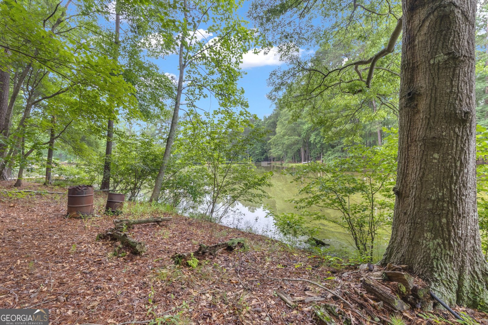 190 Willow Lake Lane Sharpsburg - 58