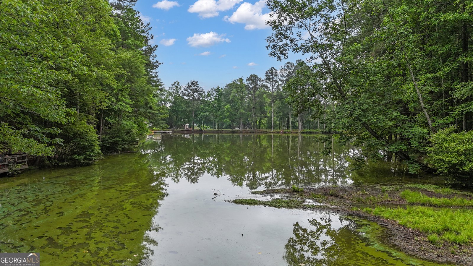 190 Willow Lake Lane Sharpsburg - 69