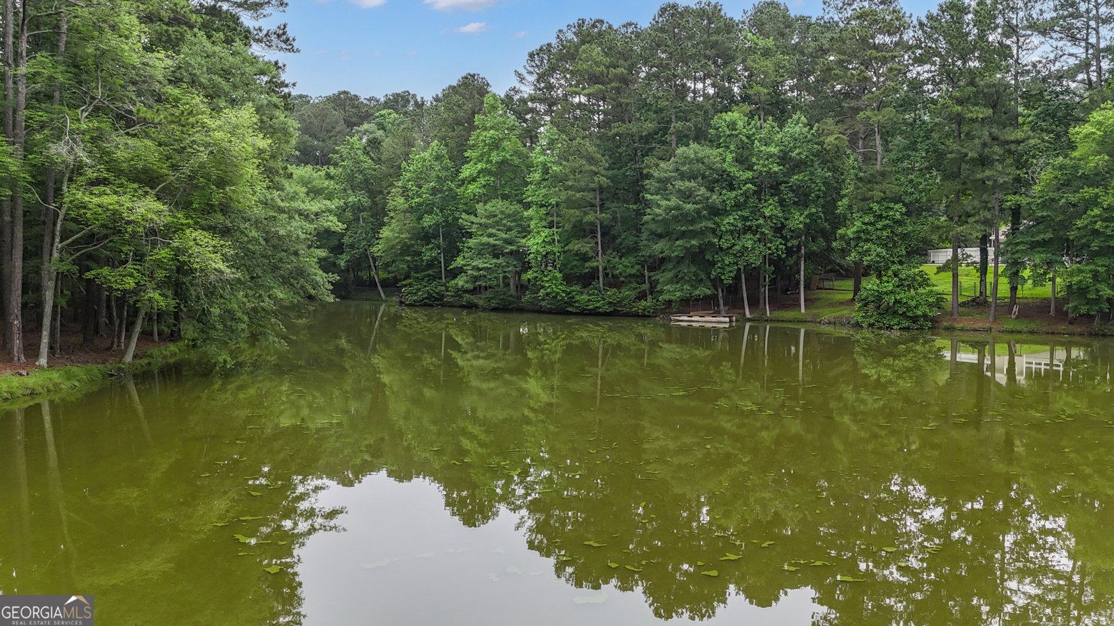 190 Willow Lake Lane Sharpsburg - 70