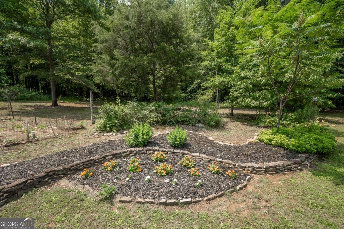 1079 Hardeman Farm Road Carnesville - 38