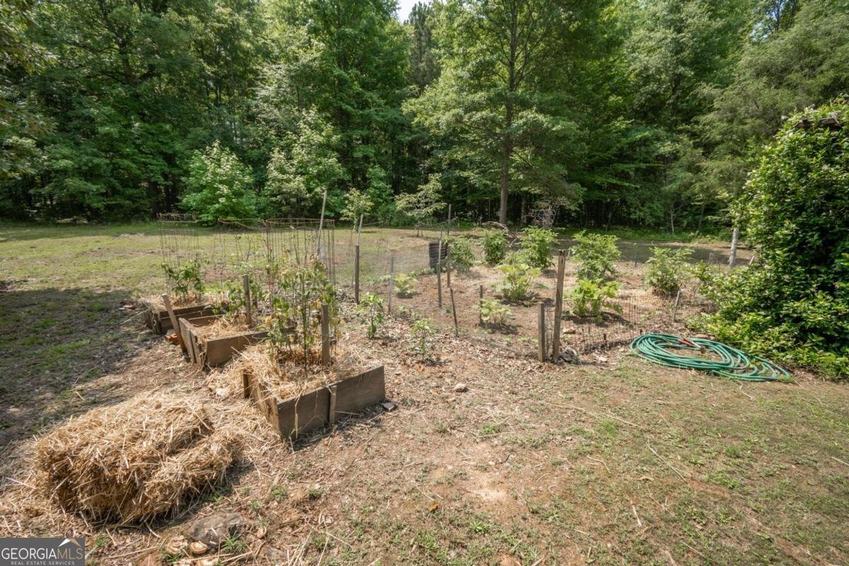 1079 Hardeman Farm Road Carnesville - 39