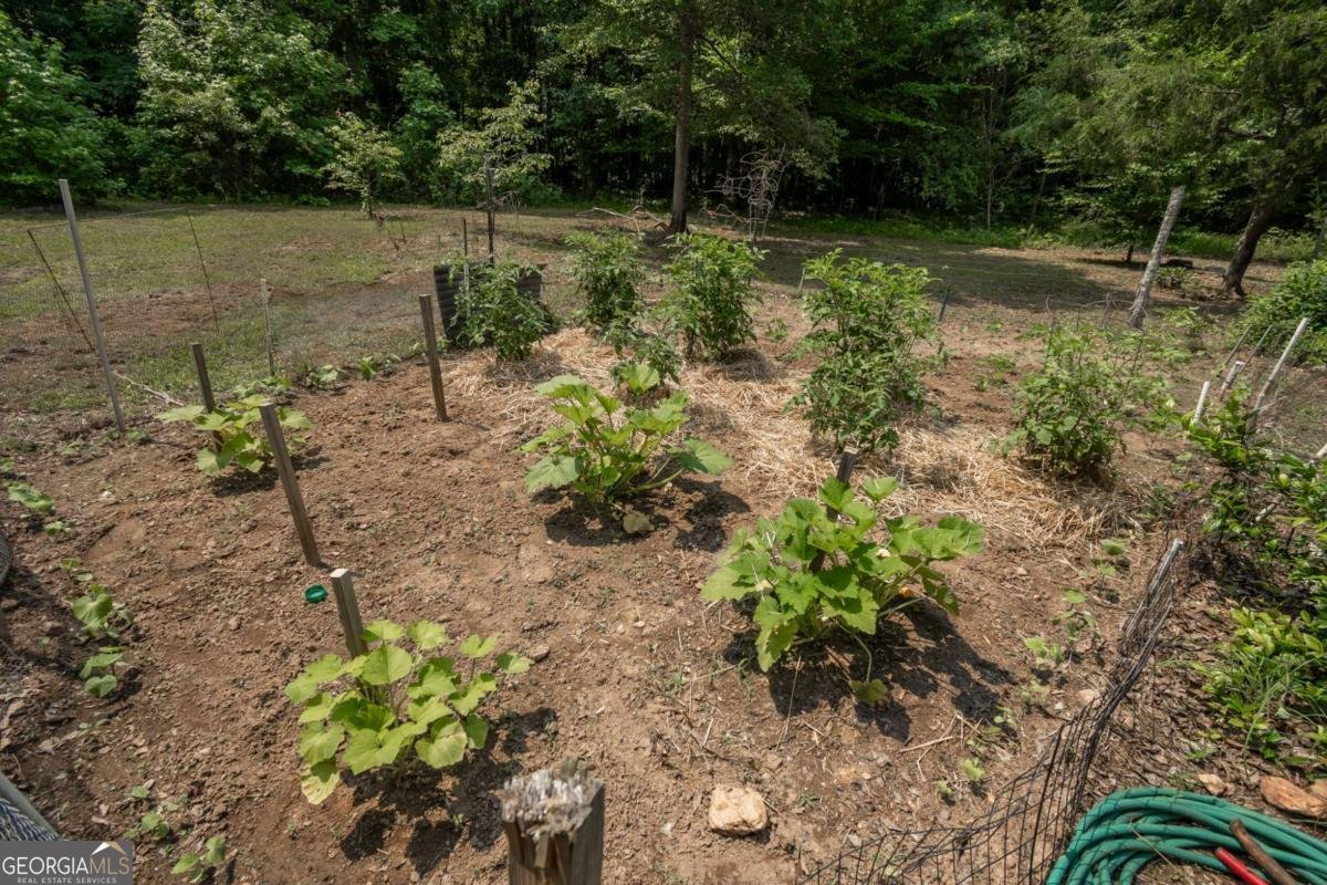 1079 Hardeman Farm Road Carnesville - 40
