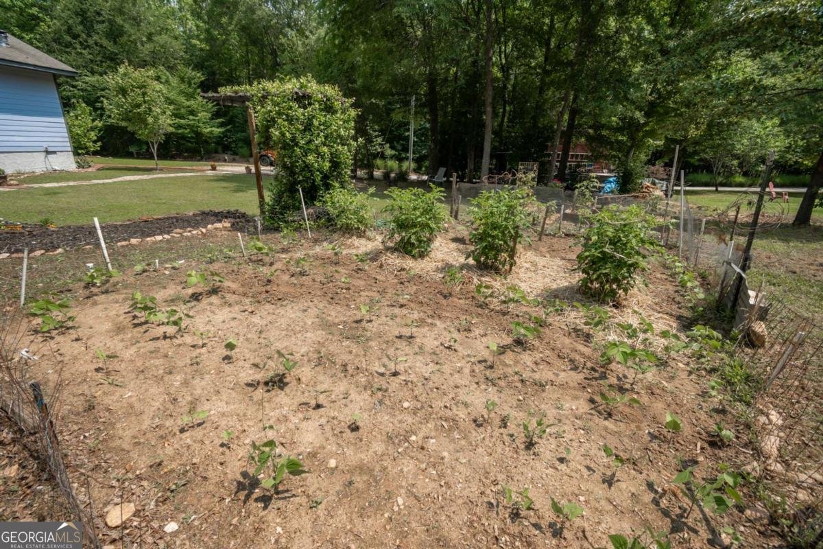 1079 Hardeman Farm Road Carnesville - 45