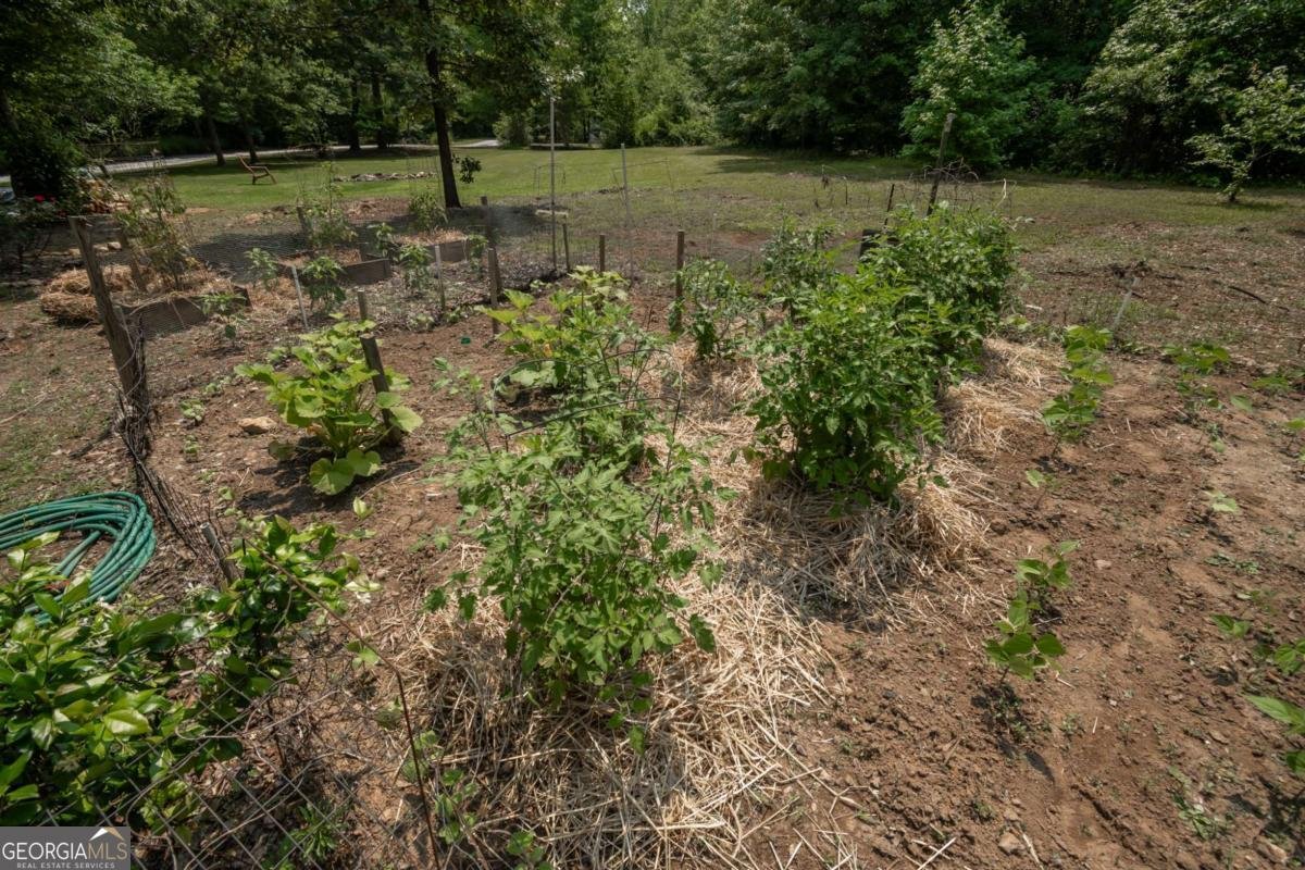 1079 Hardeman Farm Road Carnesville - 46