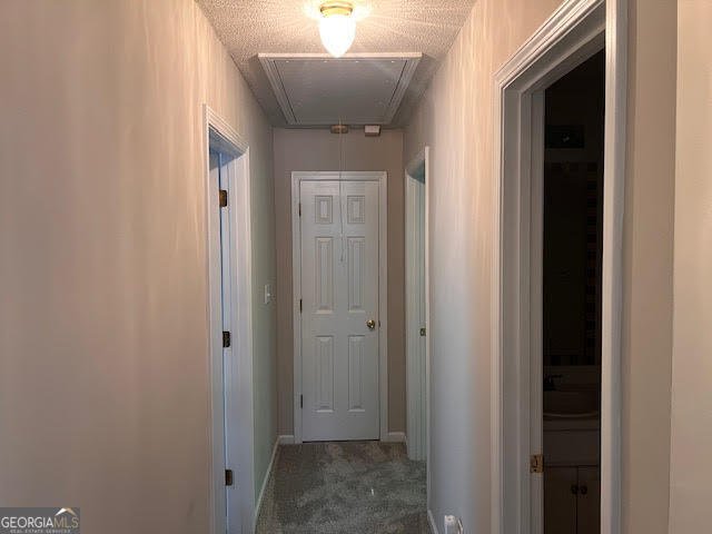 149 Titan Road Stockbridge - 10