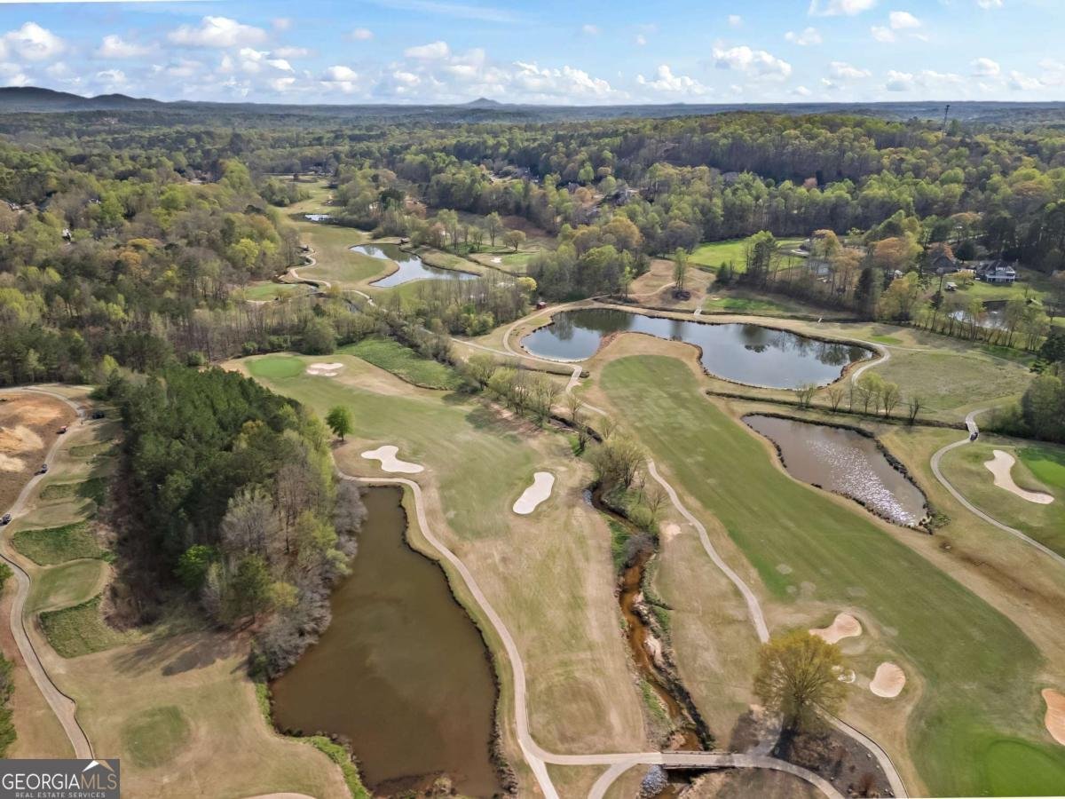 410 Hickory Fairway Court Woodstock - 66