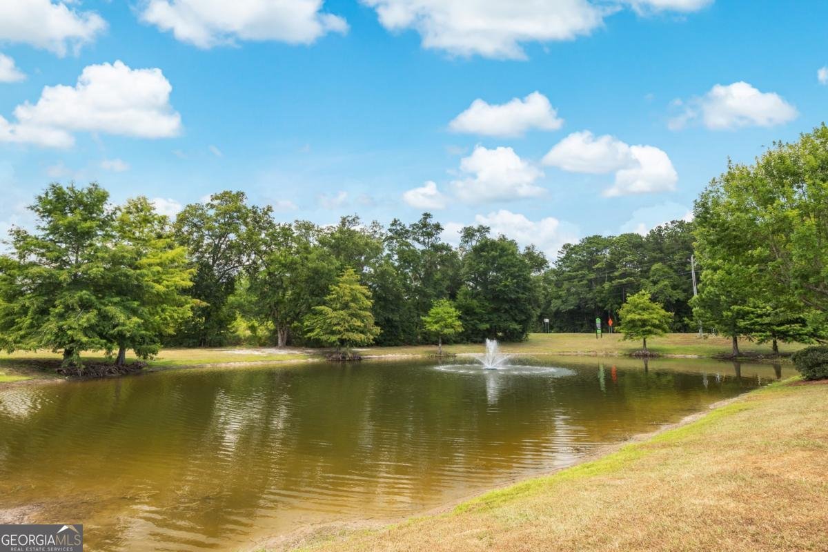 86 Crestview Drive Guyton - 21