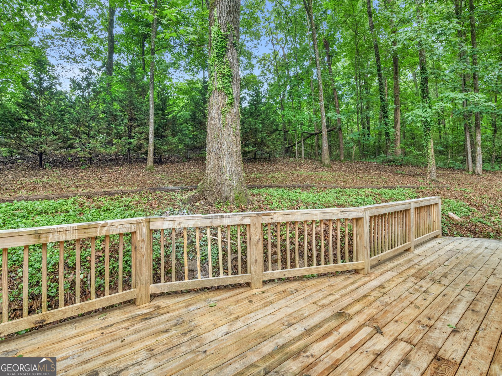 138 Timber Ridge Drive Griffin - 4