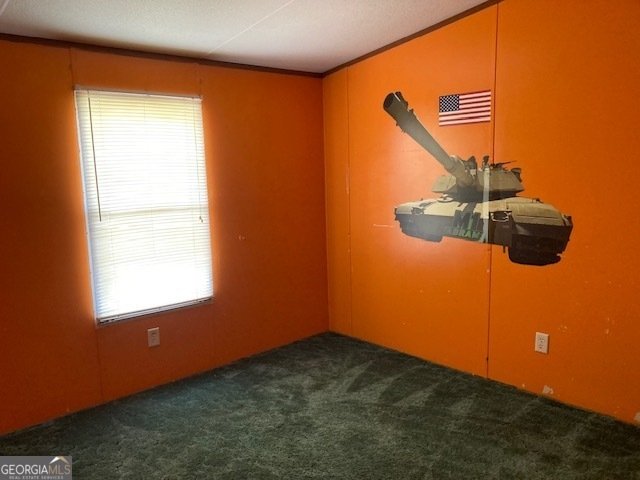 520 Shannon Drive East Dublin - 14