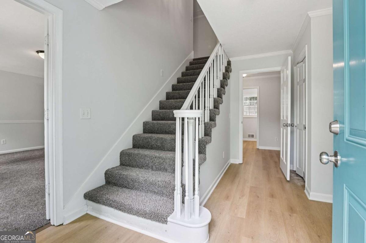 56 Carlane Circle Bowdon - 4