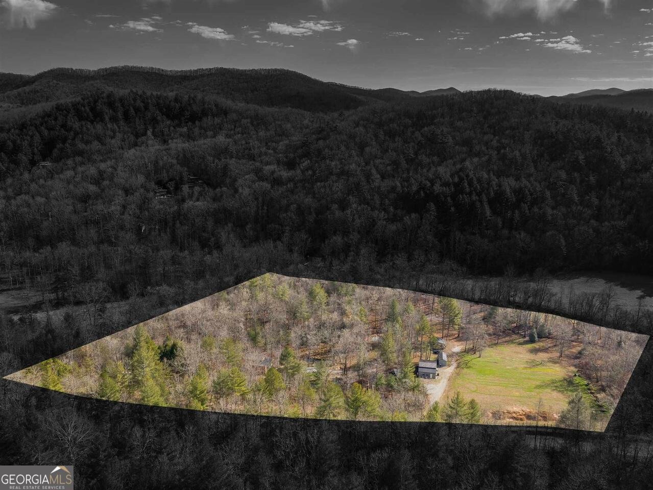 721 Dial Road Blue Ridge - 37