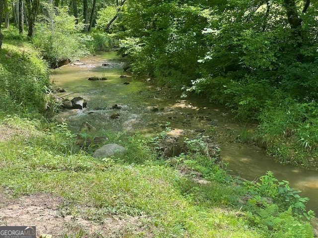 721 Dial Road Blue Ridge - 44
