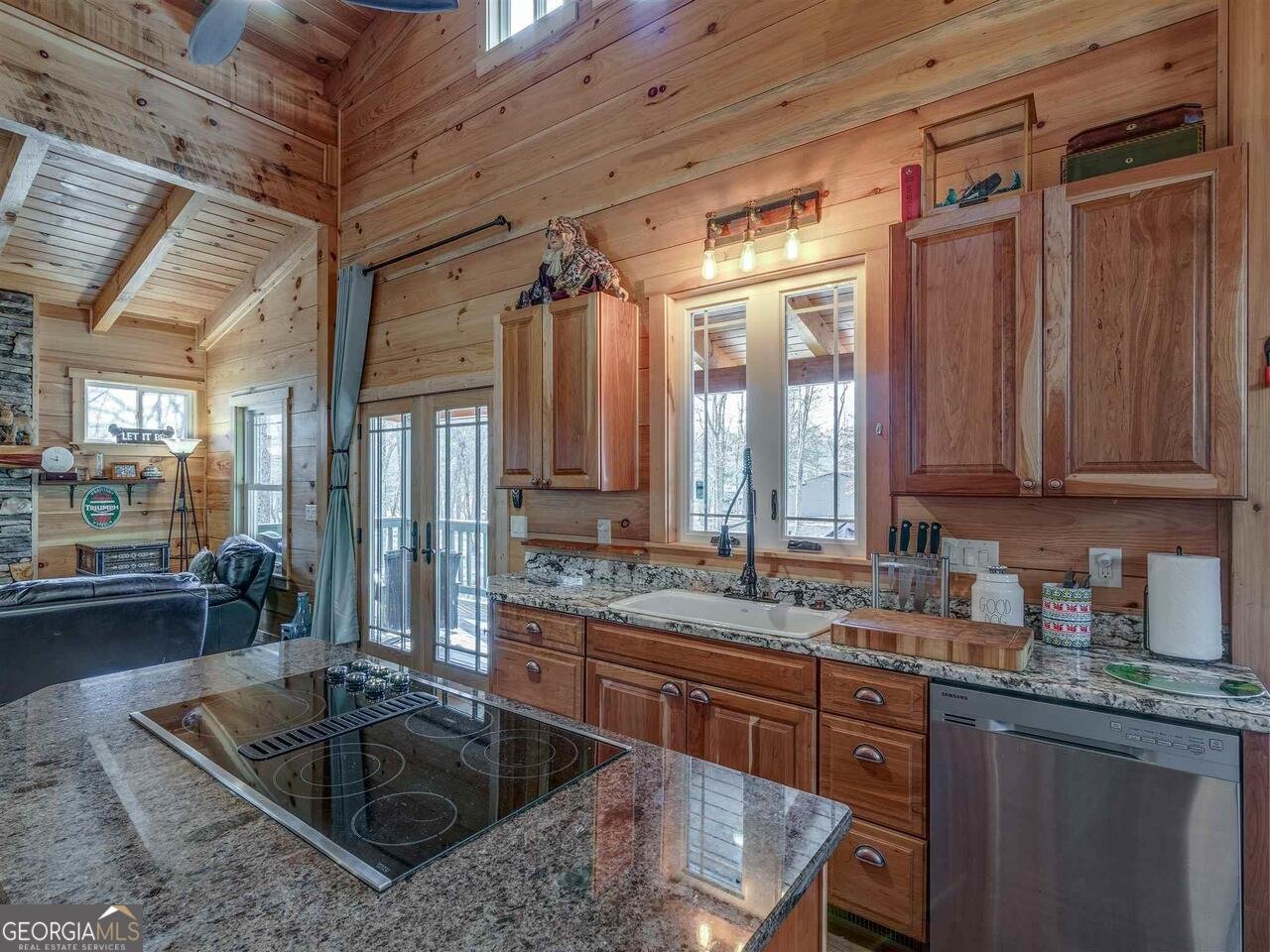 721 Dial Road Blue Ridge - 6