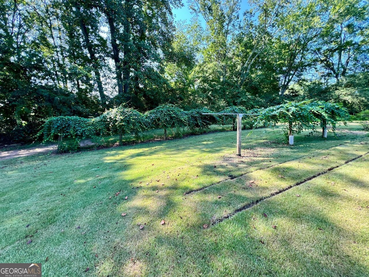 138 PONDEROSA Drive Dallas - 44