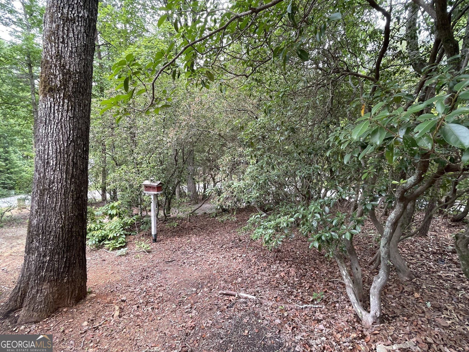 22 Nob Hill Ridge Cleveland - 5