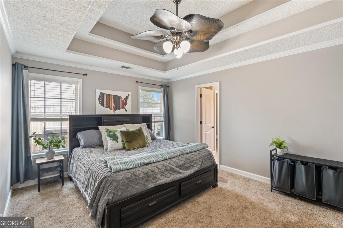 210 Pebblestone Drive Bloomingdale - 10